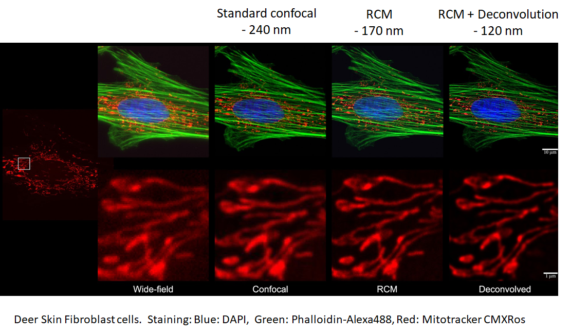 成像效果對(duì)比圖.png 成像效果對(duì)比圖.png