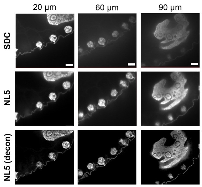 深度3D成像.jpg 深度3D成像.jpg