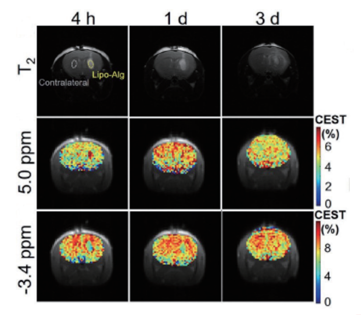 藥物開(kāi)發(fā).png 藥物開(kāi)發(fā).png