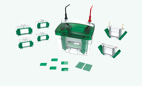 NEWS：“泳”于創(chuàng)新，森西賽智電泳儀系列正式發(fā)布！