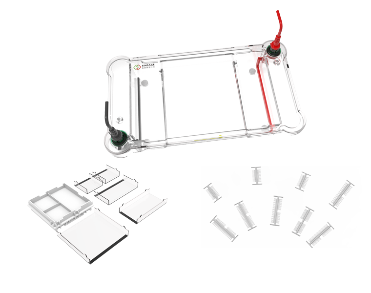 水平電泳槽.png 水平電泳槽.png