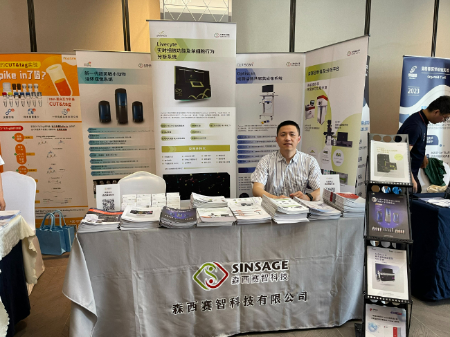 AI改圖-微信圖片_20230619091249-650x487.jpeg AI改圖-微信圖片_20230619091249-650x487.jpeg