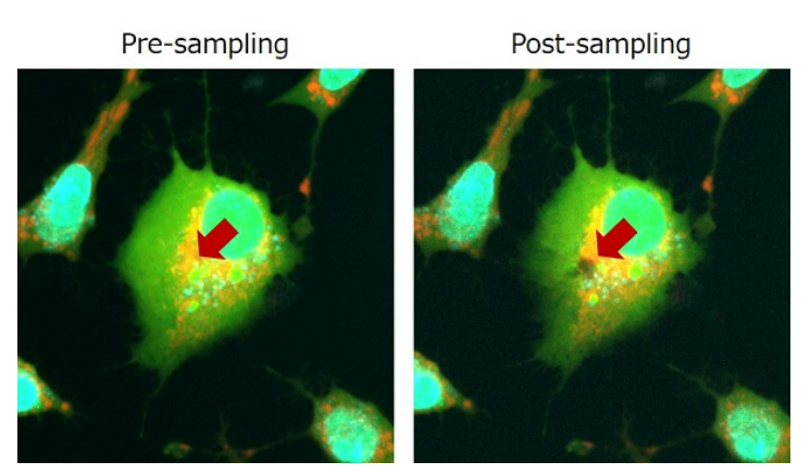 應(yīng)用-1.png 應(yīng)用-1.png