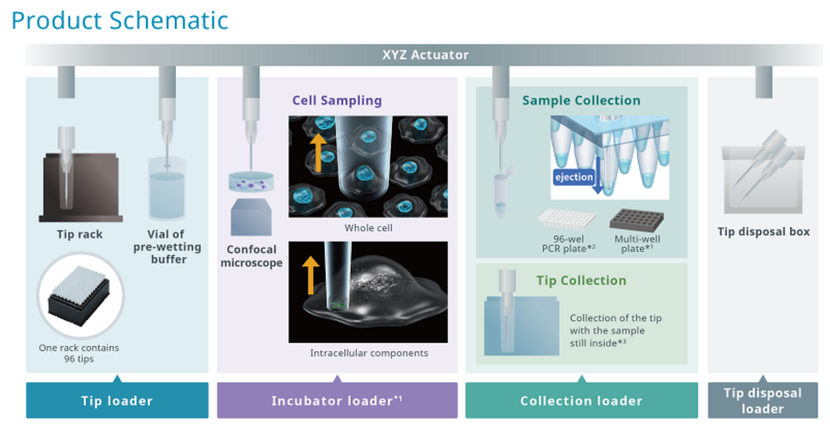 特點(diǎn)-1.png 特點(diǎn)-1.png