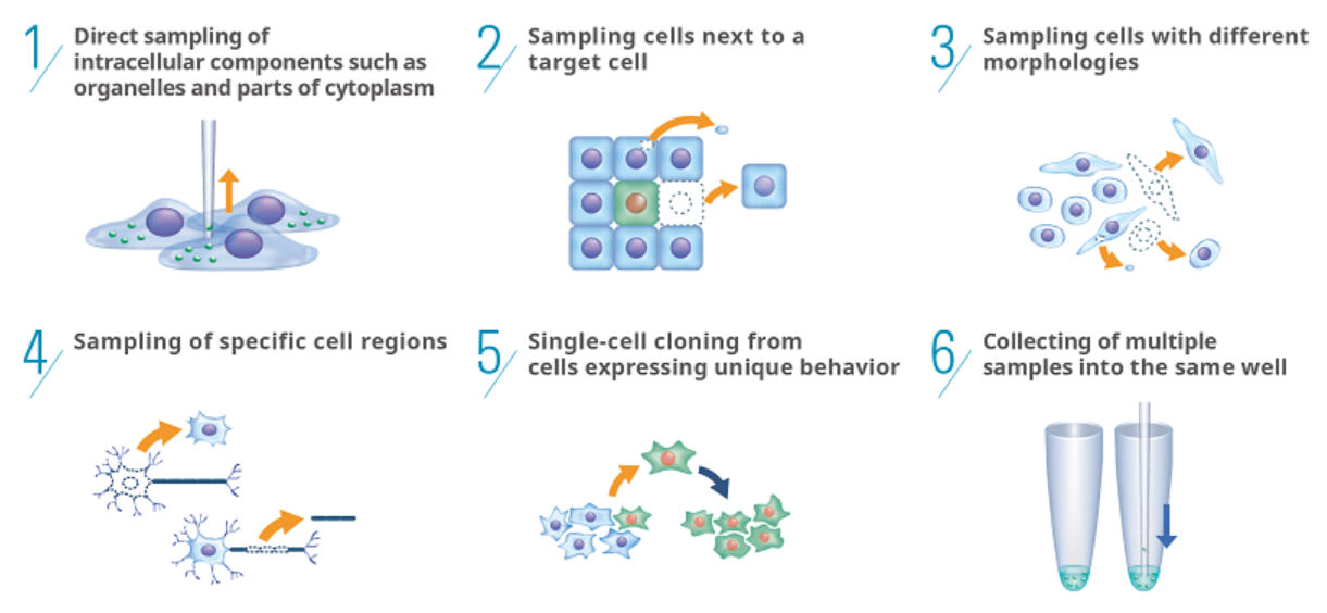 使用示例.png 使用示例.png