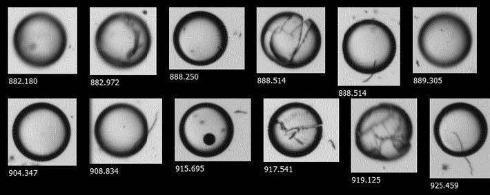 材料表征-聚苯乙烯球.jpg 材料表征-聚苯乙烯球.jpg