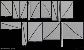 水質(zhì)監(jiān)測和環(huán)境-長孢藻.jpg 水質(zhì)監(jiān)測和環(huán)境-長孢藻.jpg