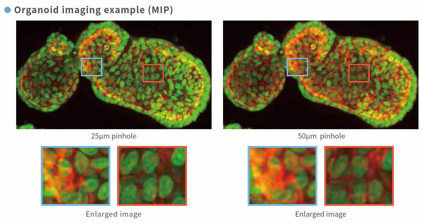 特點(diǎn)2.png 特點(diǎn)2.png