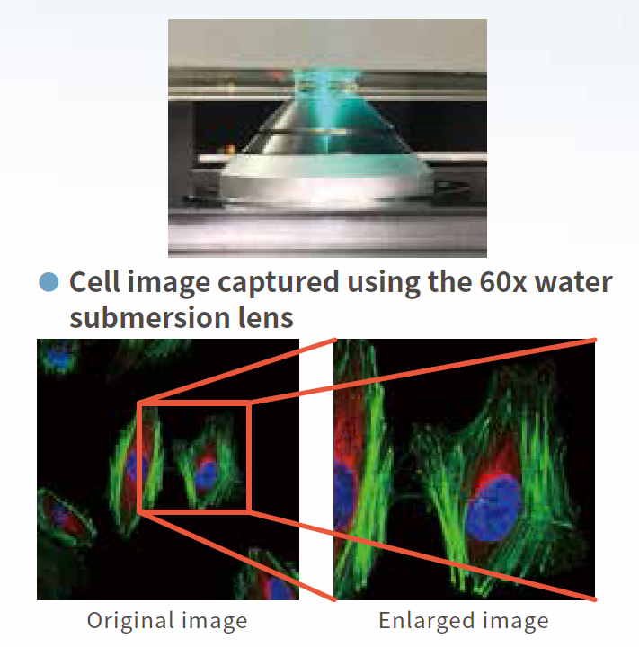 特點(diǎn)4.png 特點(diǎn)4.png
