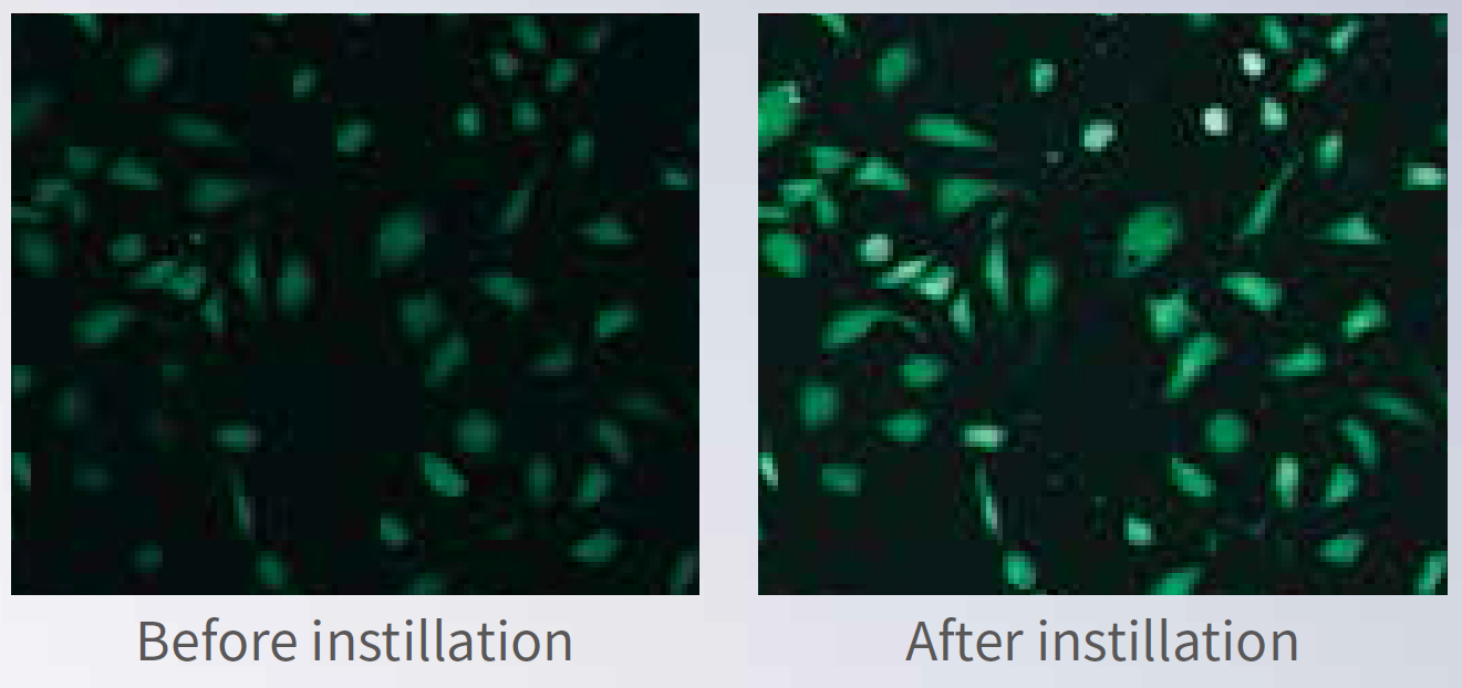 應(yīng)用2.png 應(yīng)用2.png