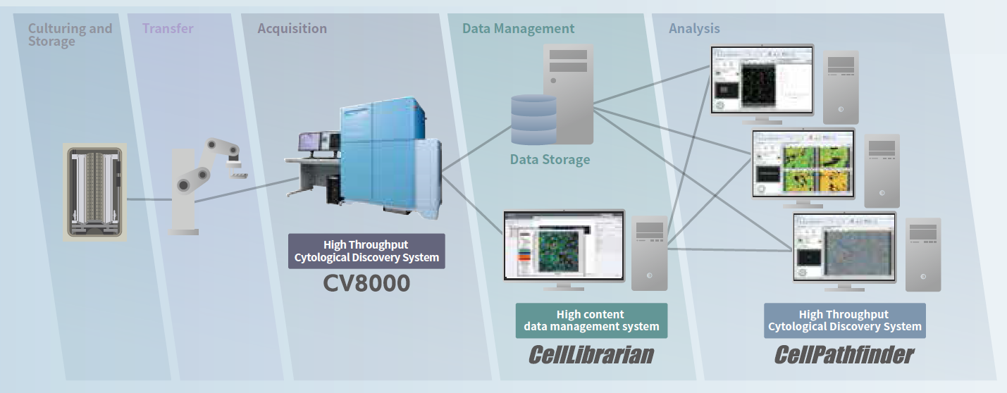 特點(diǎn)7.png 特點(diǎn)7.png