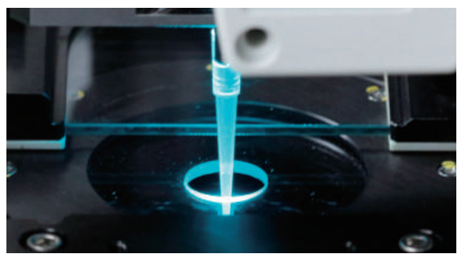 特點(diǎn)5.png 特點(diǎn)5.png