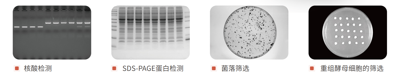 聯(lián)想截圖_20231206152426.png 聯(lián)想截圖_20231206152426.png