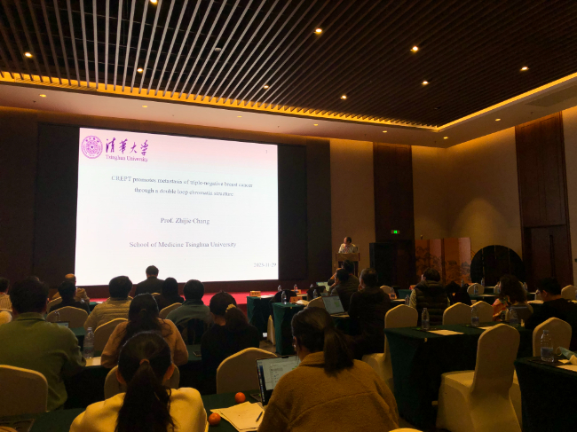 AI改圖-5-650x487.jpeg AI改圖-5-650x487.jpeg