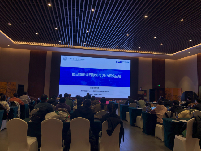 AI改圖-13-650x487.jpeg AI改圖-13-650x487.jpeg