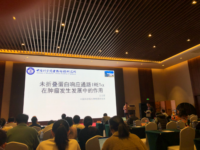 AI改圖-12-650x487.jpeg AI改圖-12-650x487.jpeg