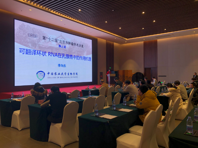 AI改圖-10-650x487.jpeg AI改圖-10-650x487.jpeg