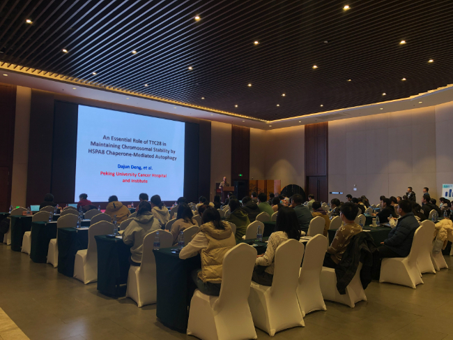 AI改圖-7-650x487.jpeg AI改圖-7-650x487.jpeg