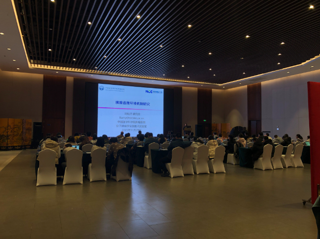 AI改圖-8-650x487.jpeg AI改圖-8-650x487.jpeg