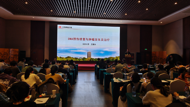 AI改圖-6-650x365.jpeg AI改圖-6-650x365.jpeg