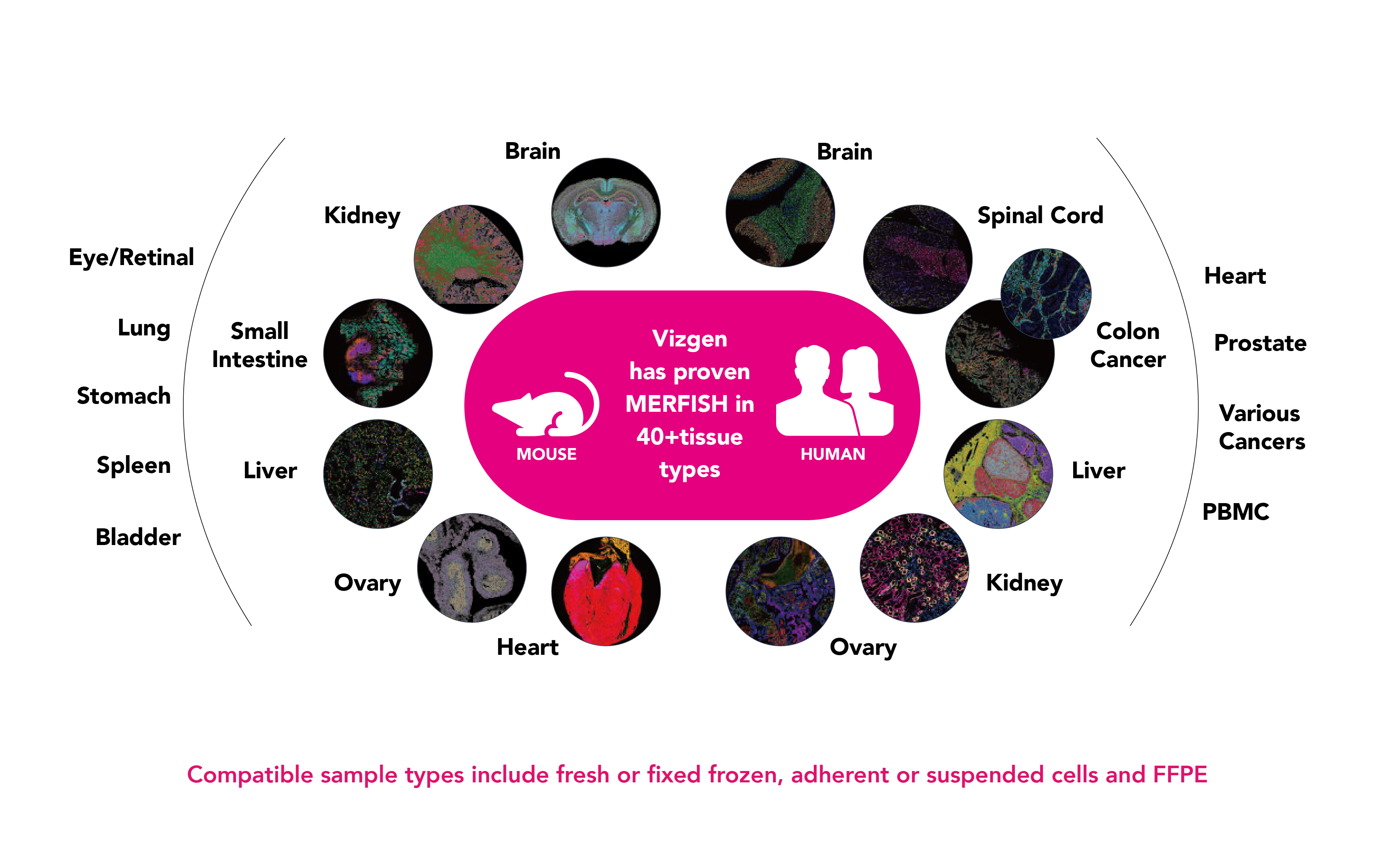 Samples.png Samples.png