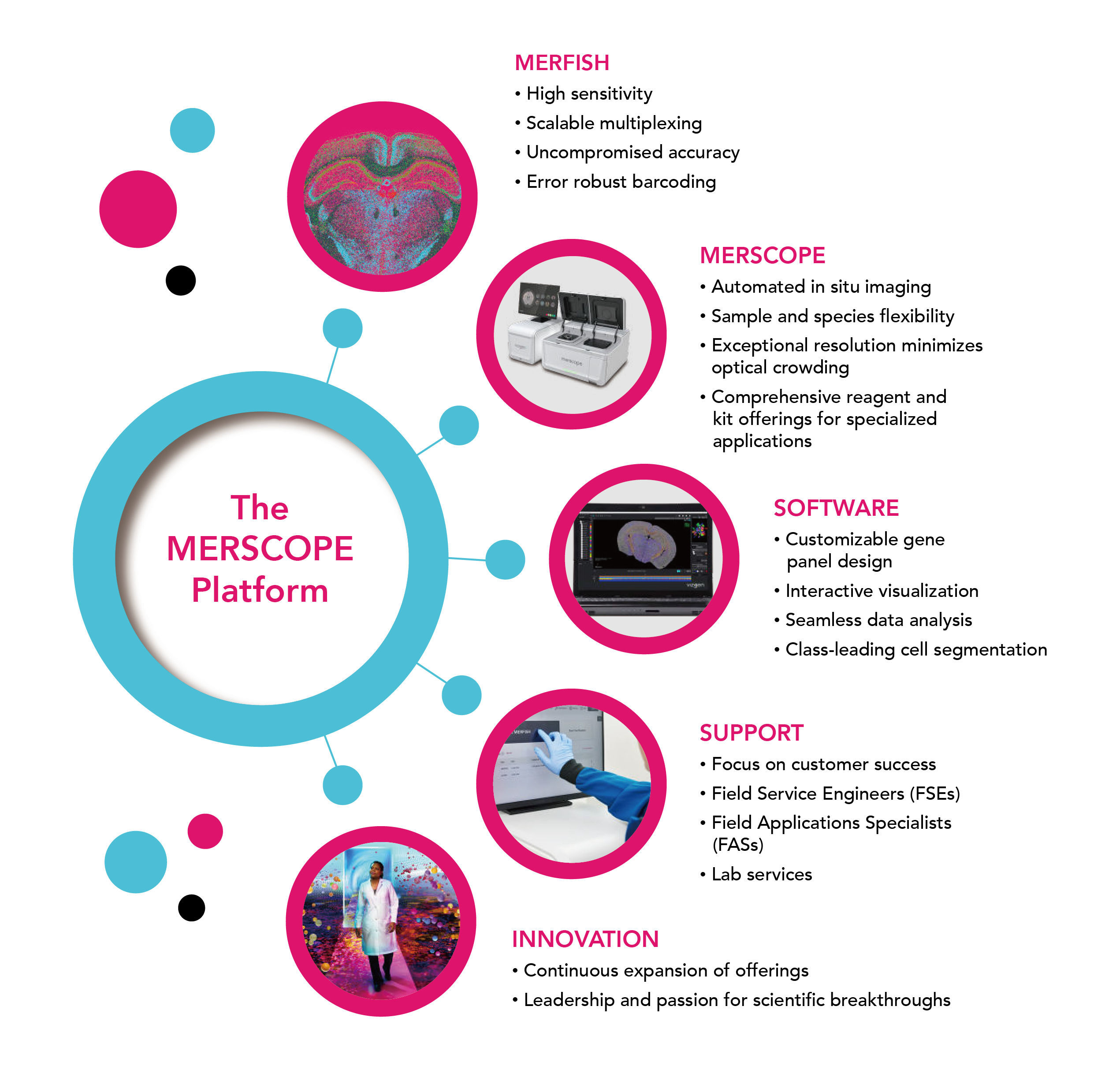 Platform.png Platform.png