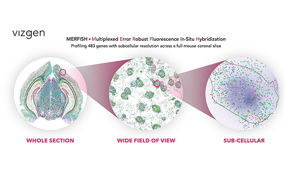 新聞快訊：森西賽智科技與Vizgen公司正式宣布開啟中國區(qū)戰(zhàn)略合作新征程，全方位助力中國空間組學研究