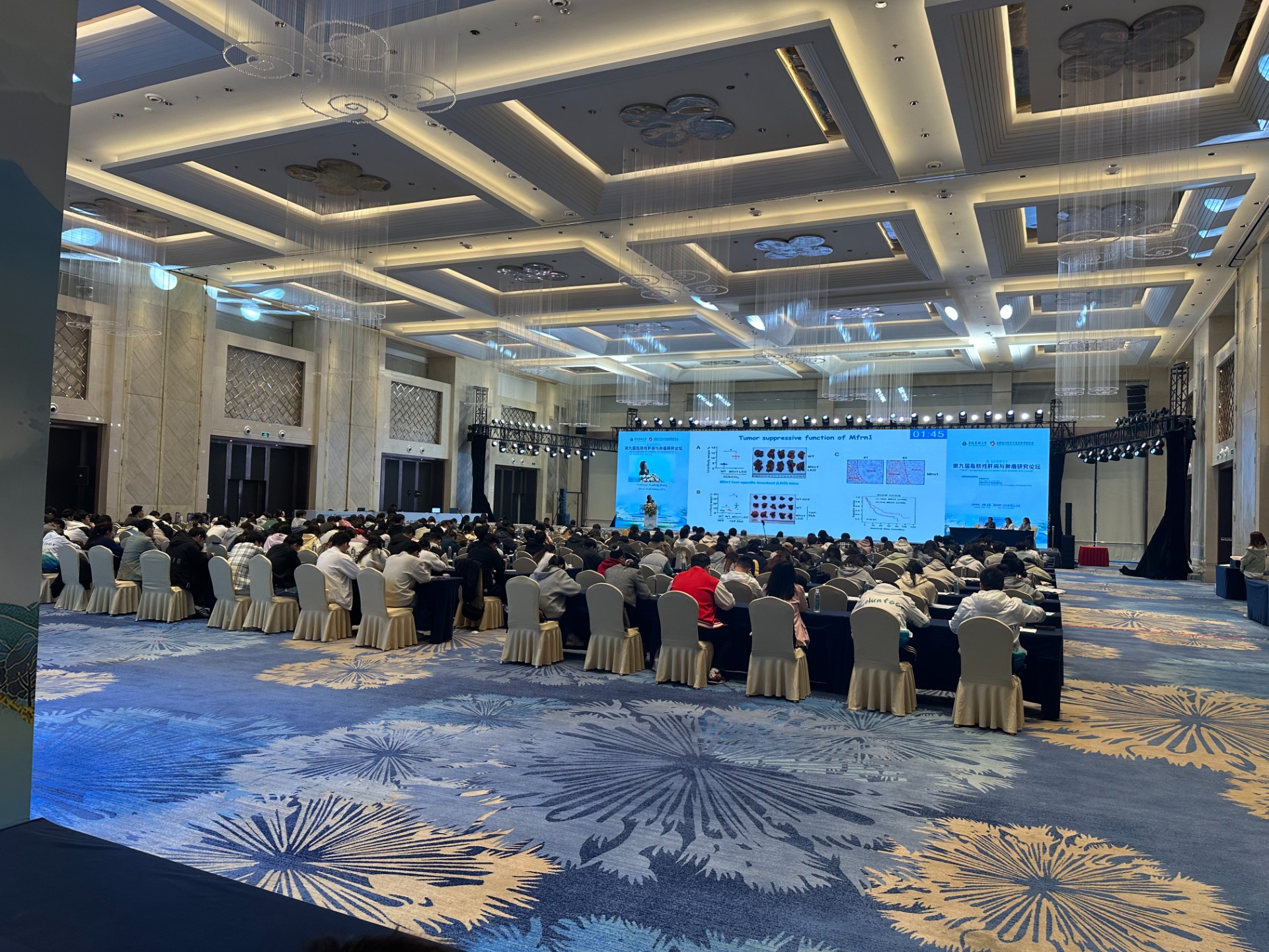 微信圖片_20250324095706.jpg 微信圖片_20250324095706.jpg