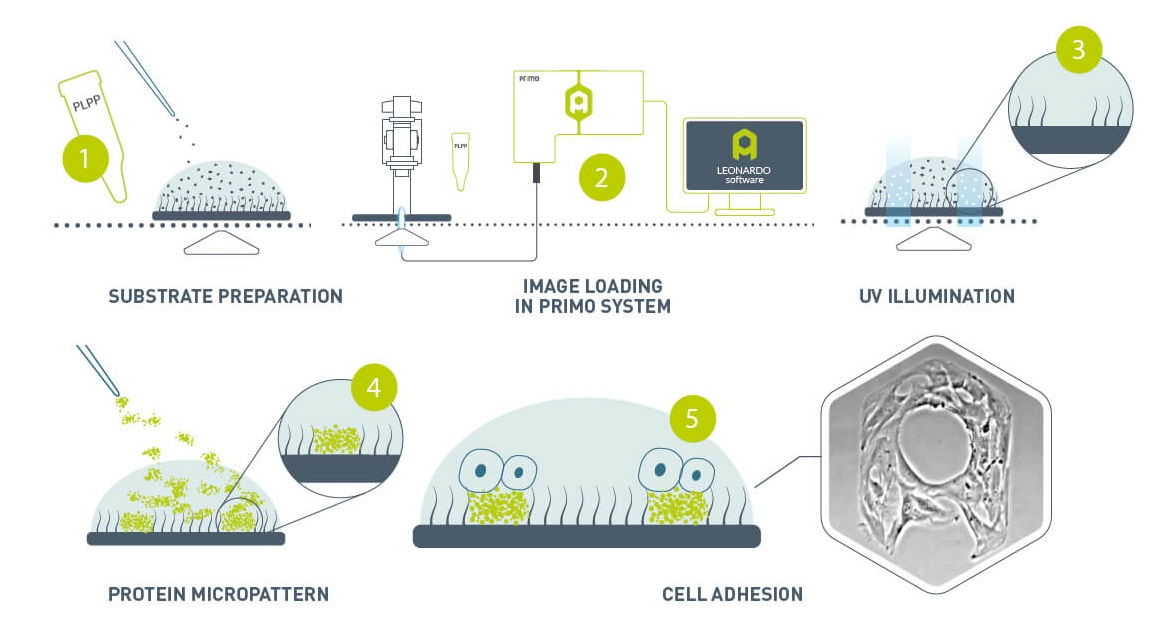 微信圖片_2025-08-19_102526_220.png 微信圖片_2025-08-19_102526_220.png