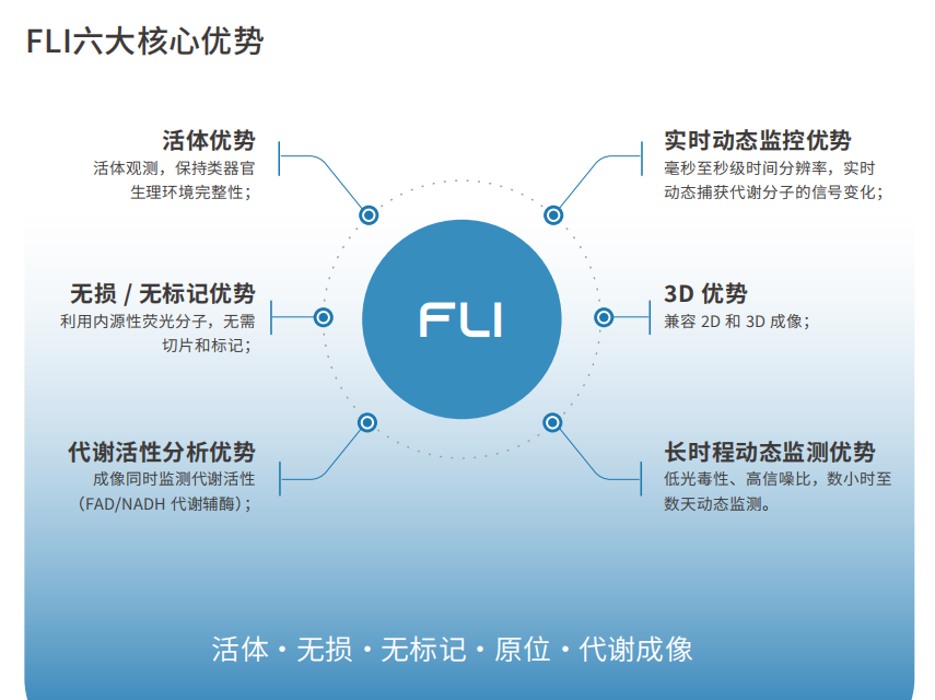 FLI六大核心優(yōu)勢.png
